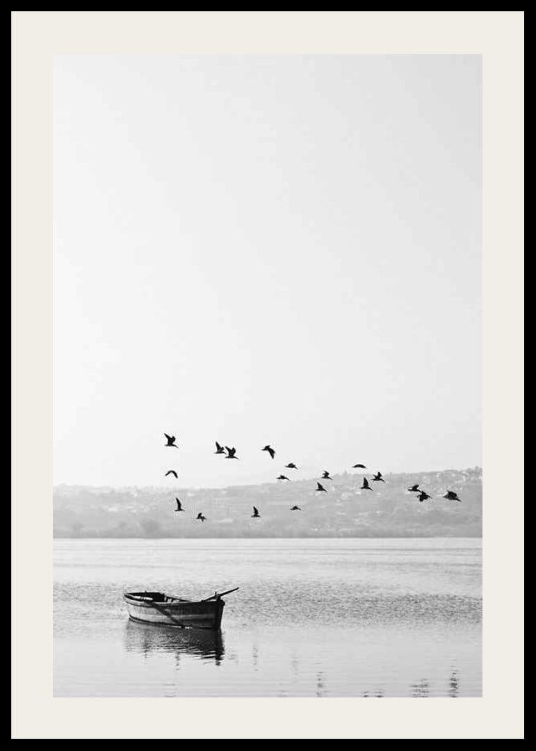 Black and white photo with flock of birds over a rowboat on lake-12