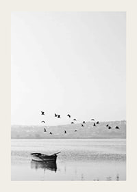 Black and white photo with flock of birds over a rowboat on lake-3