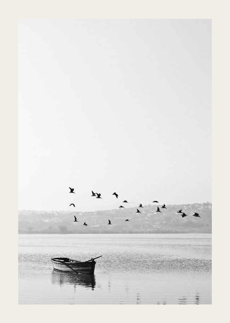 Black and white photo with flock of birds over a rowboat on lake-12