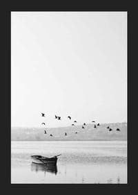 Czarno-białe zdjęcie przedstawiające stado ptaków nad łódką wiosłową na jeziorze-5