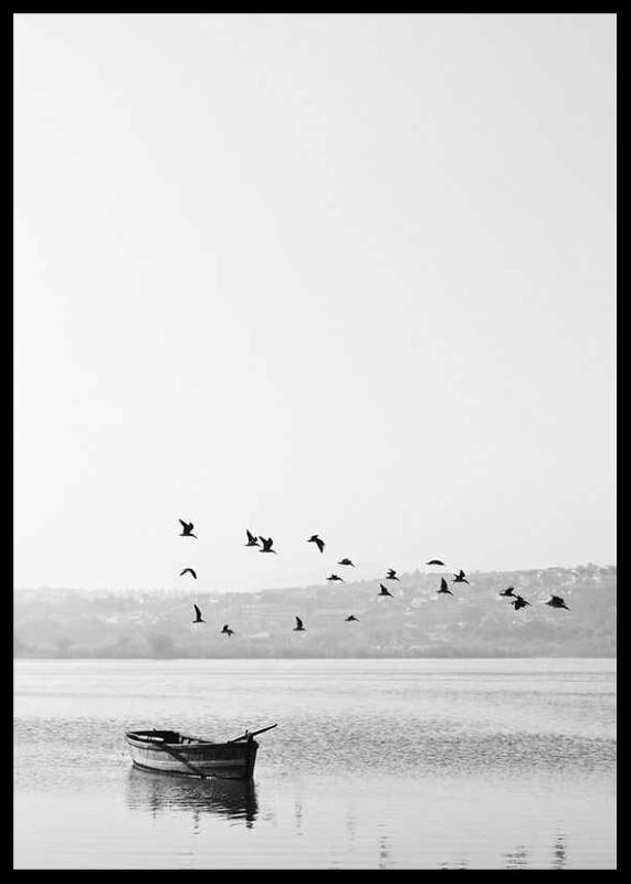 Black and white photo with flock of birds over a rowboat on lake-12