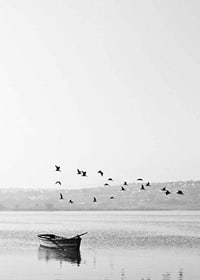Black and white photo with flock of birds over a rowboat on lake-7