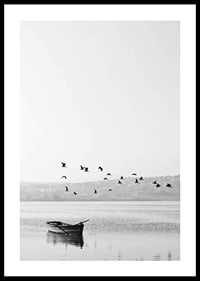 Black and white photo with flock of birds over a rowboat on lake-0