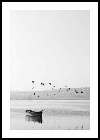 Plakat Birds over lake
