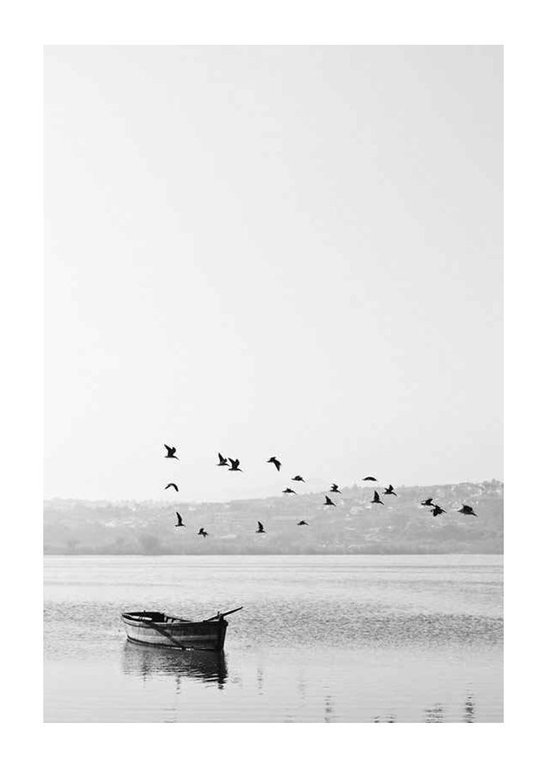 Black and white photo with flock of birds over a rowboat on lake-12