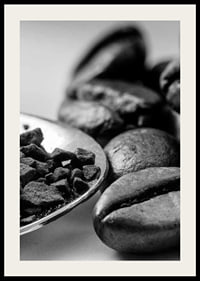 Black and white close-up of coffee beans and coffee powder on spoon-2