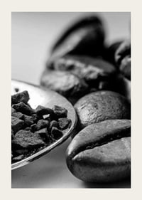 Black and white close-up of coffee beans and coffee powder on spoon-3