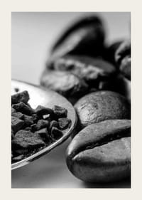 Svartvit närbild av kaffebönor och kaffepulver på sked-3