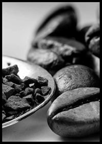 Black and white close-up of coffee beans and coffee powder on spoon-6