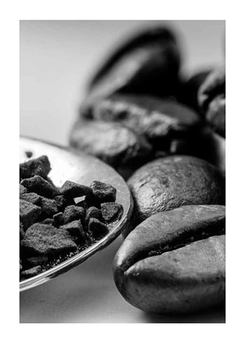 Poster Coffee Beans No2