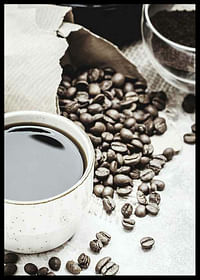 Coffee Beans No3-2
