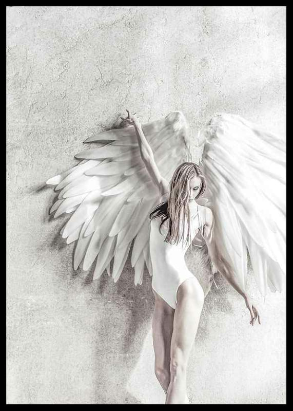 Angel Wings-12