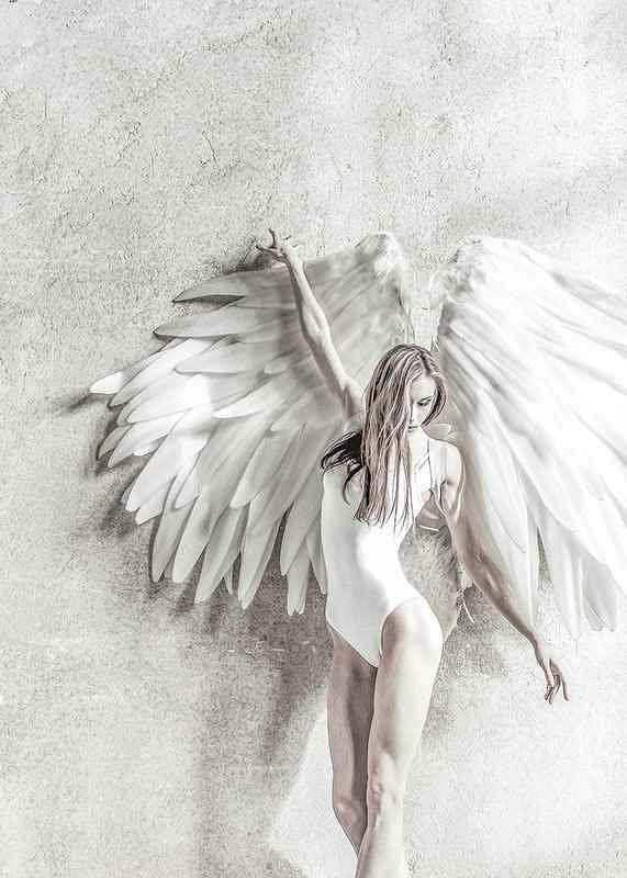 Angel Wings-12