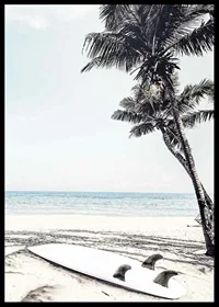 Photographic surfboard on sandy beach with palm trees and sea-6