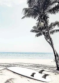 Photographic surfboard on sandy beach with palm trees and sea-7