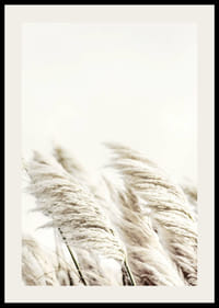 Photographie de roseaux beiges ondulants sur un fond légèrement flou-2