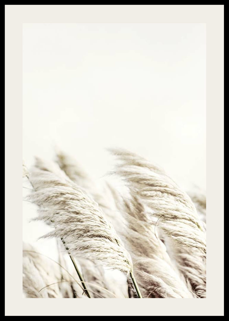 Photographie de roseaux beiges ondulants sur un fond légèrement flou-12