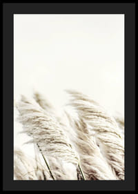 Photographie de roseaux beiges ondulants sur un fond légèrement flou-4