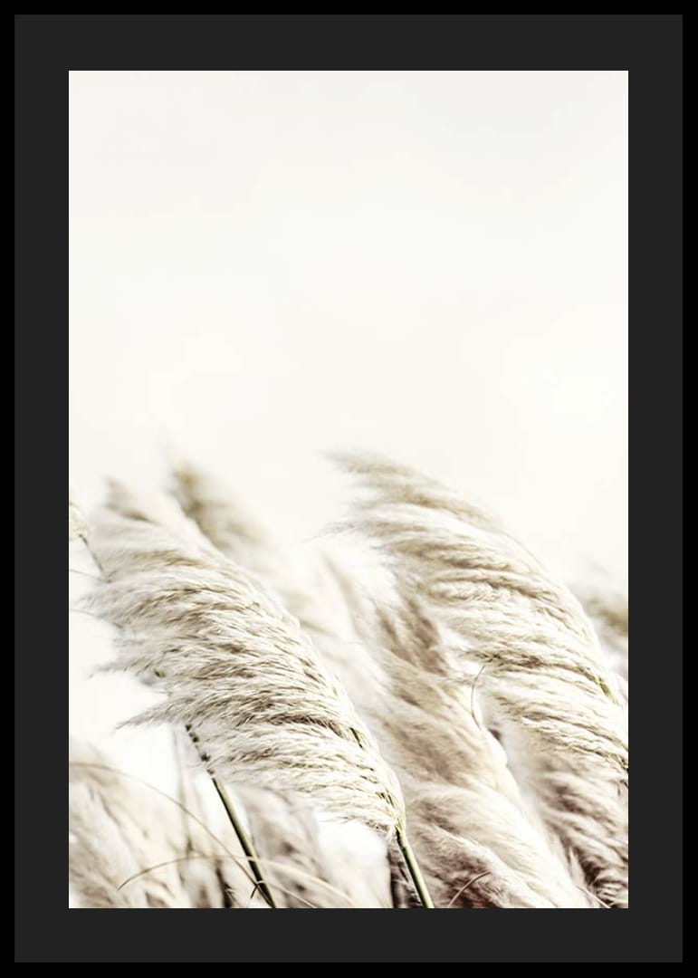 Photographie de roseaux beiges ondulants sur un fond légèrement flou-12