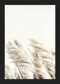 Photographie de roseaux beiges ondulants sur un fond légèrement flou-5