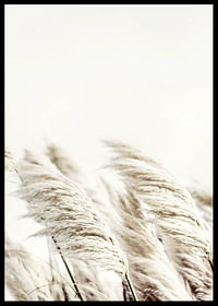 Reed In Wind-2