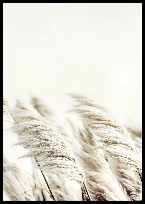 Reed In Wind-12