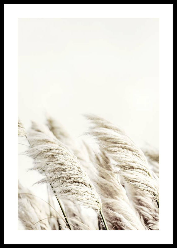 Reed In Wind-12