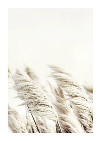 Reed In Wind-1