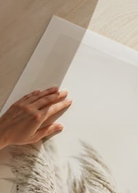 Fotografía de juncos beige ondeando contra un fondo claro y borroso.-9