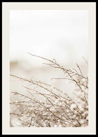 Dried plant branches in beige tones against a light blurred background-2