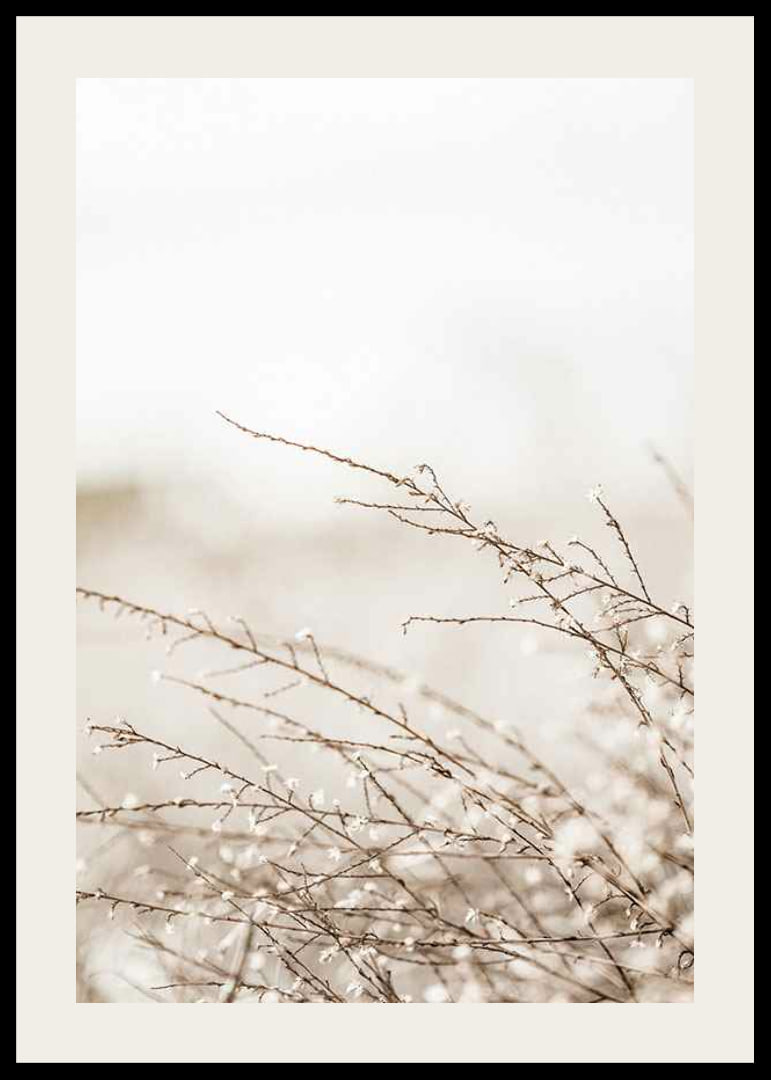 Dried plant branches in beige tones against a light blurred background-12