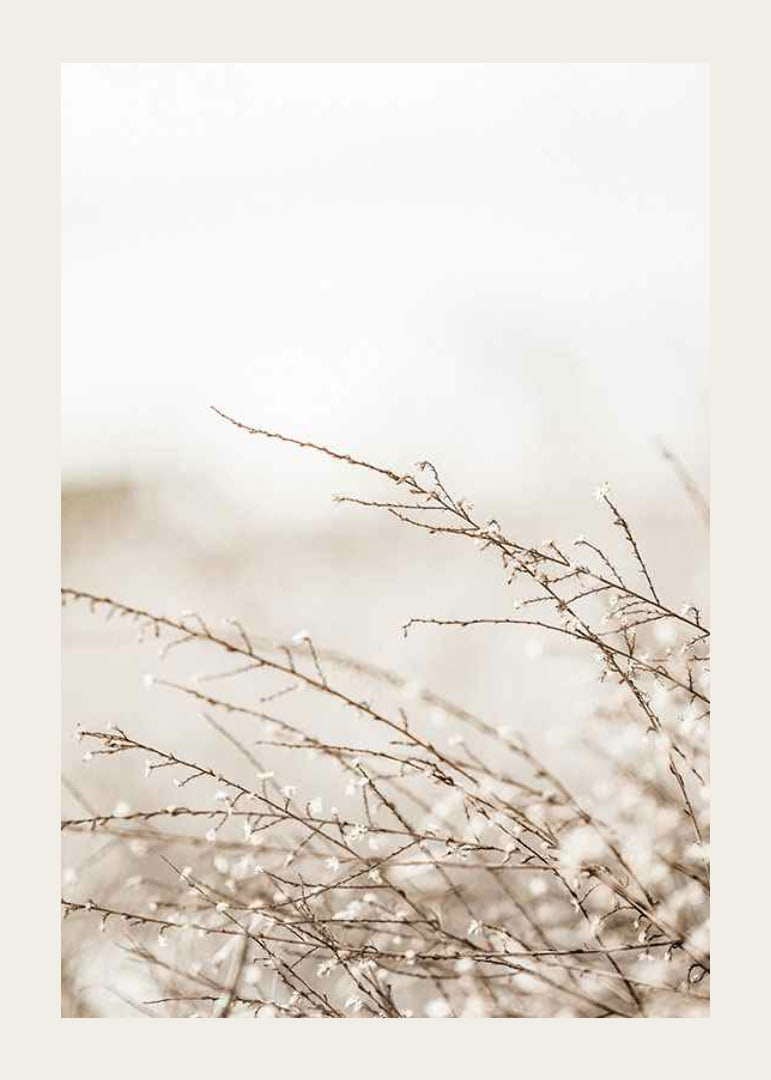 Dried plant branches in beige tones against a light blurred background-12