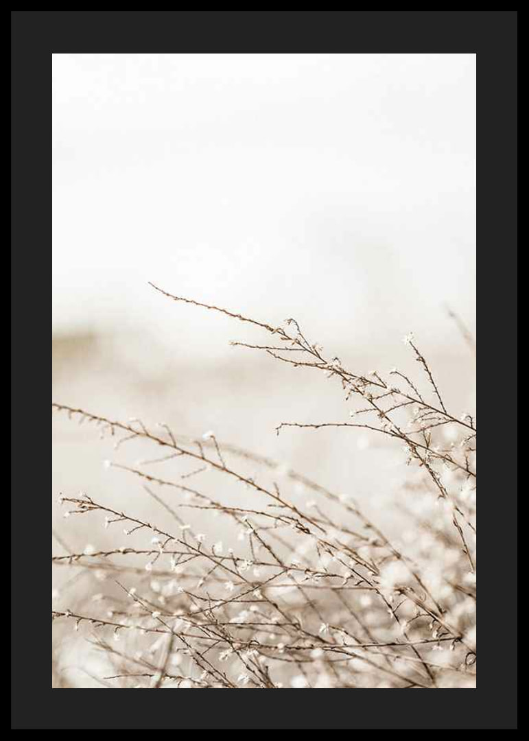 Dried plant branches in beige tones against a light blurred background-12