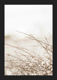 Dried plant branches in beige tones against a light blurred background-5