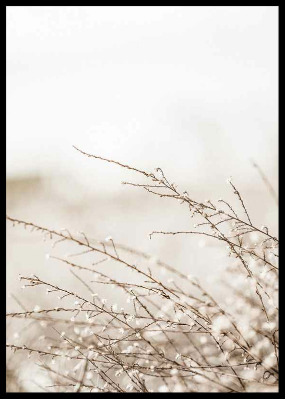 Dried plant branches in beige tones against a light blurred background-12