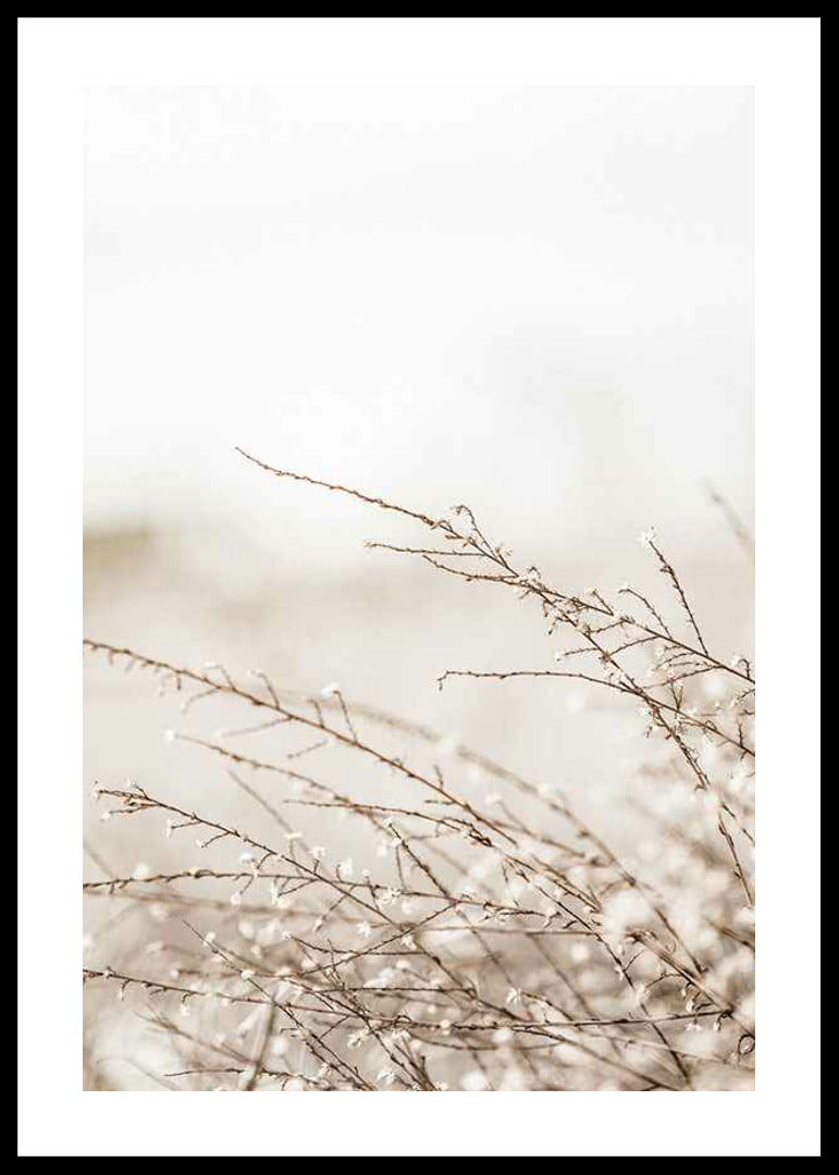Dried plant branches in beige tones against a light blurred background-12