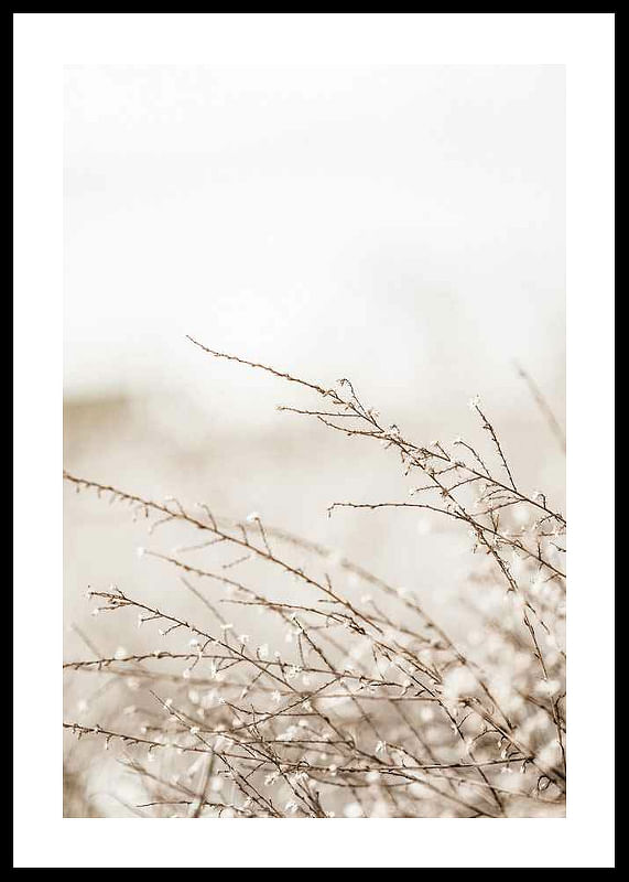 Branches-12