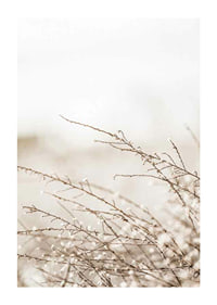 Dried plant branches in beige tones against a light blurred background-1