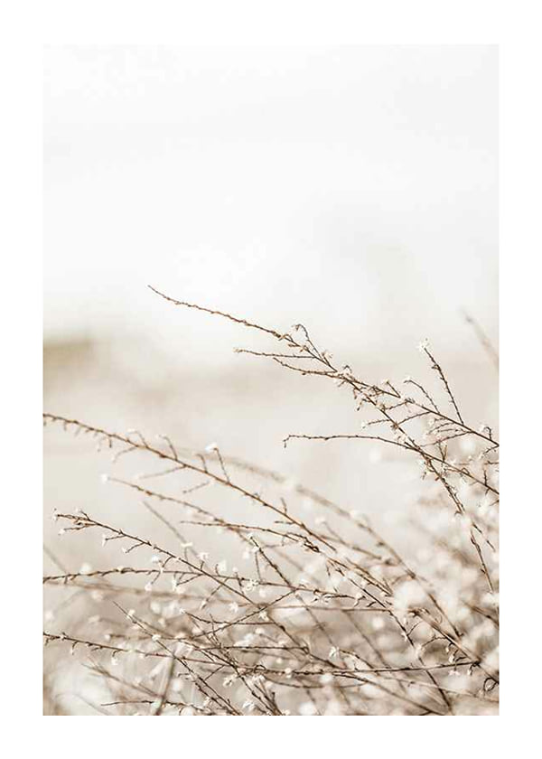Poster Branches