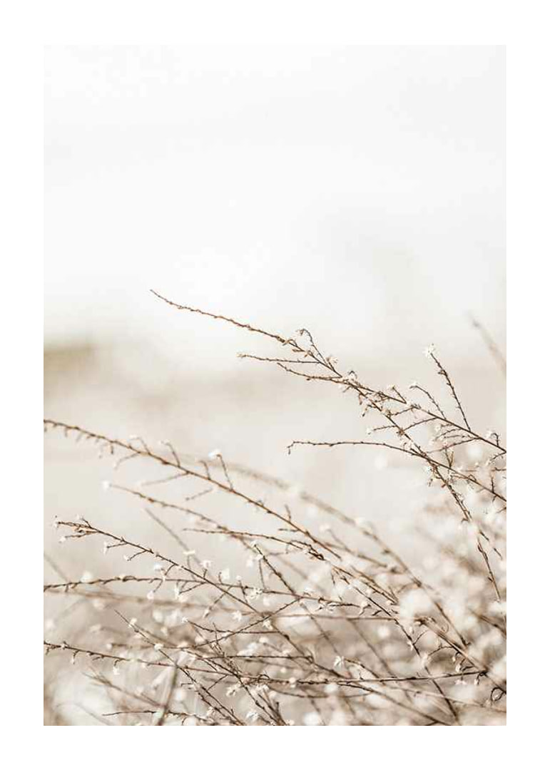 Dried plant branches in beige tones against a light blurred background-12