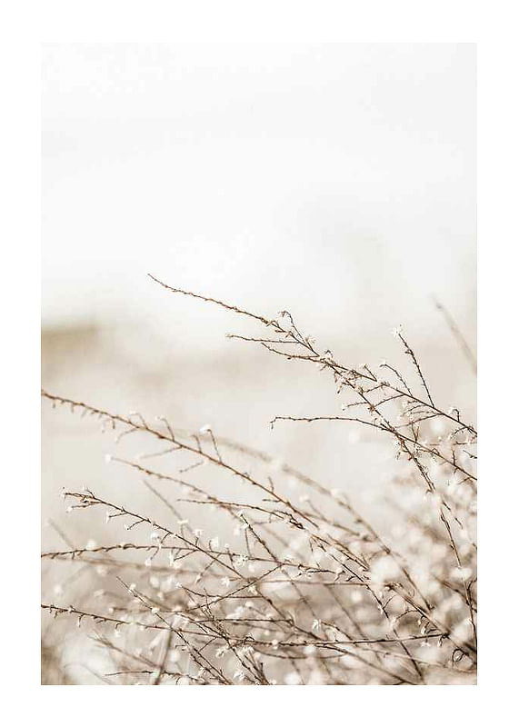 Plagát Branches