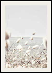 Bright dried blades of grass with sea view in gentle tones-2