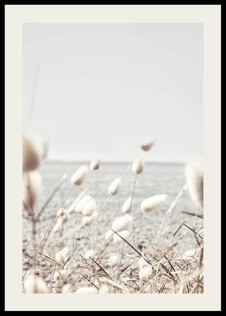 Bright dried blades of grass with sea view in gentle tones-12