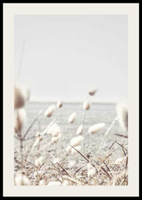 Fire de iarbă uscate și strălucitoare, cu vedere la mare, în tonuri blânde-2