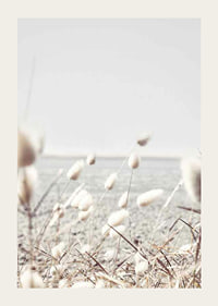 Bright dried blades of grass with sea view in gentle tones-3