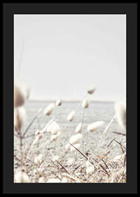 Bright dried blades of grass with sea view in gentle tones-4