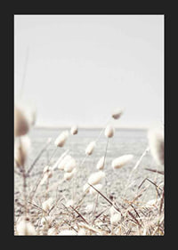 Bright dried blades of grass with sea view in gentle tones-5