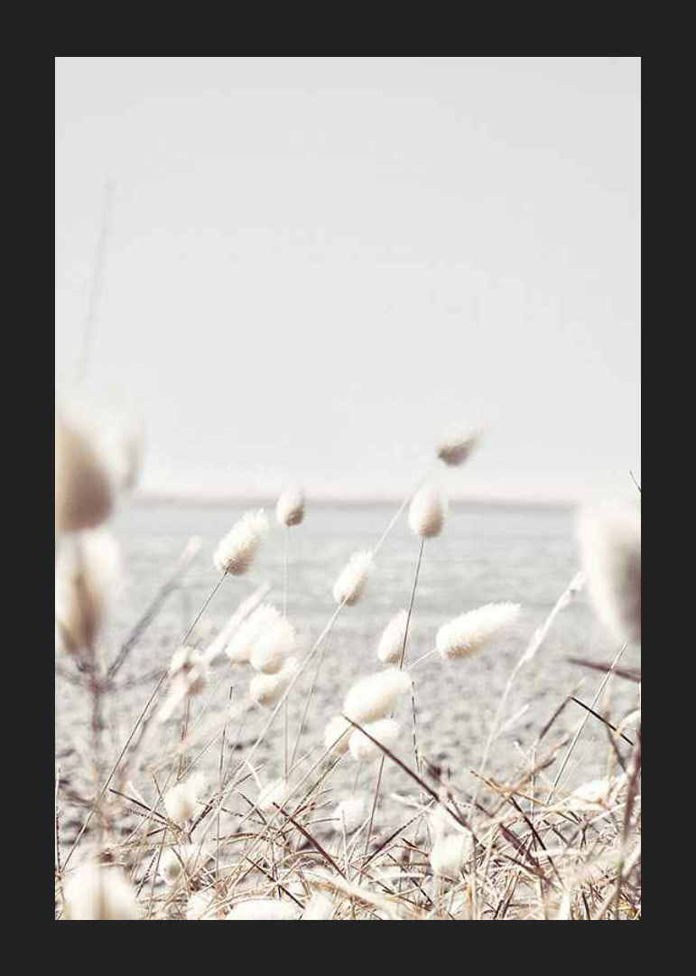 Bright dried blades of grass with sea view in gentle tones-12