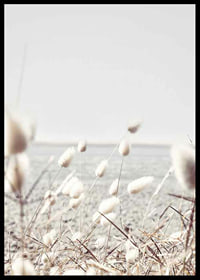 Bright dried blades of grass with sea view in gentle tones-6