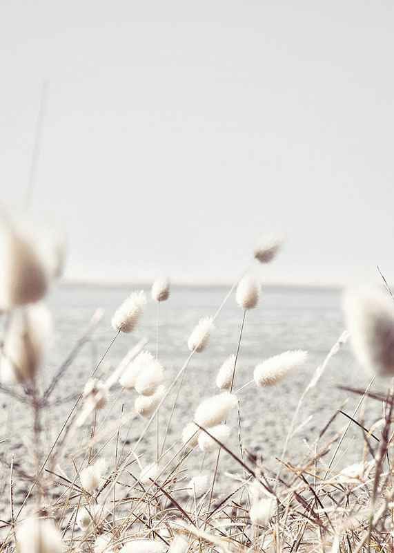 Bunny Tails-12